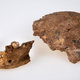 The Nesher Ramla skullcap and jawbone.